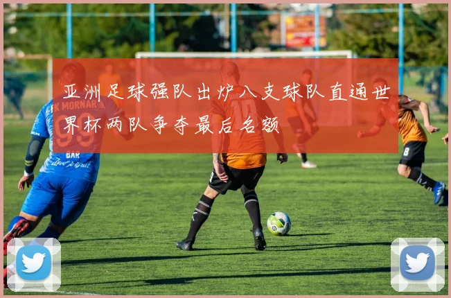 亚洲足球强队出炉八支球队直通世界杯两队争夺最后名额